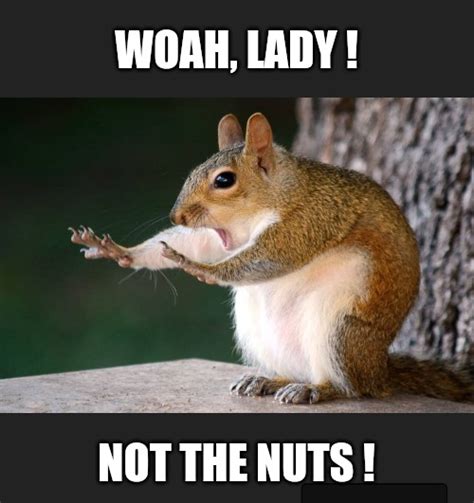 nut memes|Nut Crazy GIFs